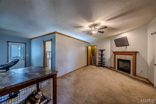 19211 Salina Rd, Waynesville, MO 65583 - photo 20