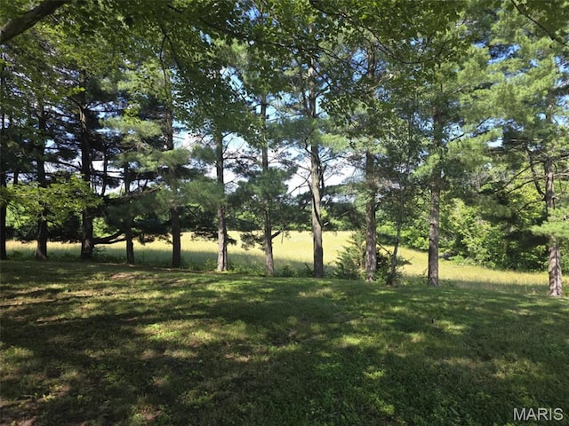 478 Batchtown Rd, Batchtown, IL 62006 - view of grassy yard