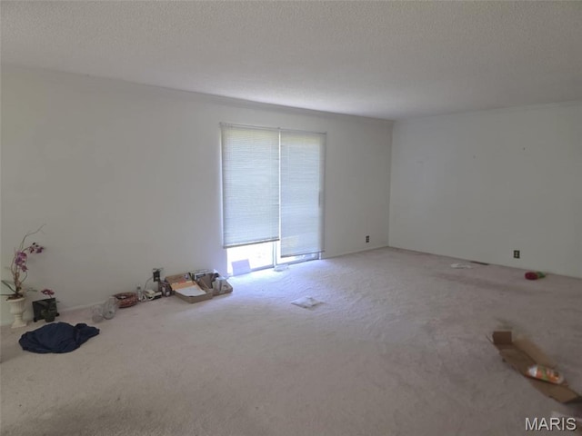 478 Batchtown Rd, Batchtown, IL 62006 - carpeted spare room featuring a textured ceiling