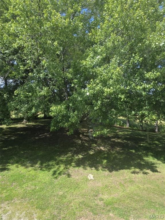 478 Batchtown Rd, Batchtown, IL 62006 - view of green lawn