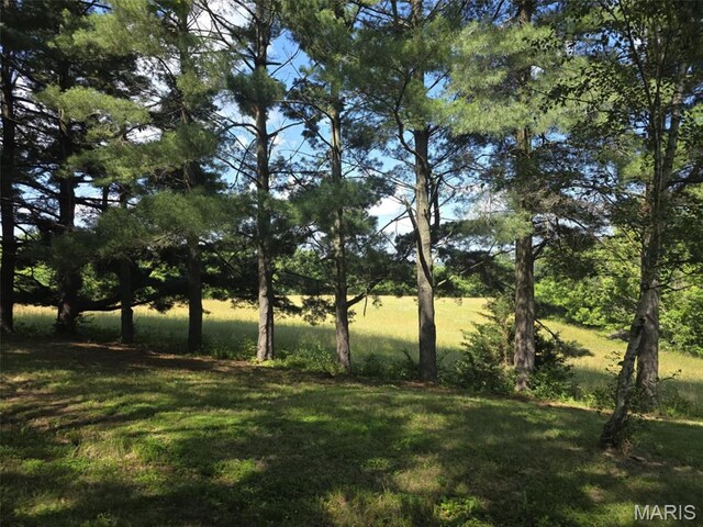 478 Batchtown Rd, Batchtown, IL 62006 - view of grassy yard