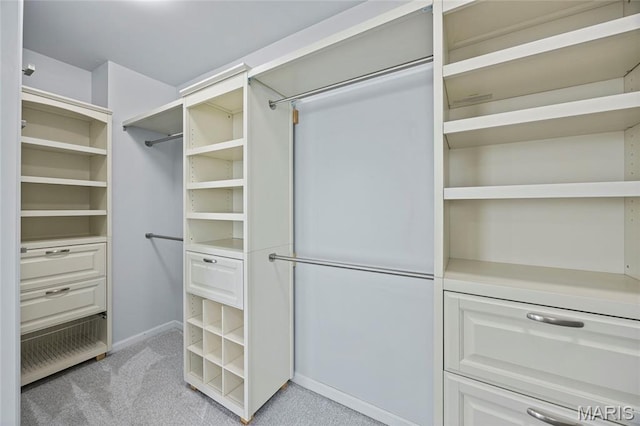 3112 Bentwater Pl, Saint Charles, MO 63301 - walk in closet featuring light carpet