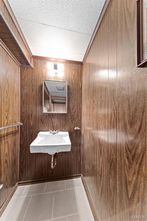 670 Gateswood Dr, Florissant, MO 63033 - bathroom featuring wood walls and a sink