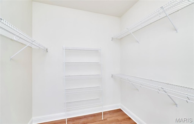 5 Tucker Manor Ct, Wentzville, MO 63385 - walk in closet featuring wood finished floors