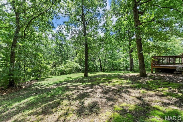 8816 Moss Hollow Rd, Pevely, MO 63070 - photo 8