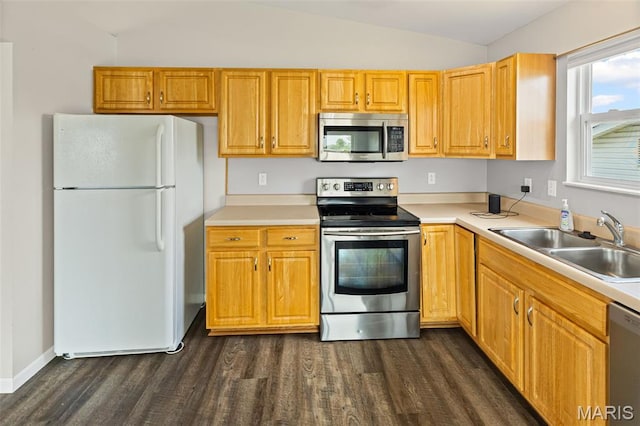 412 Audry Dr, Dupo, IL 62239 - kitchen featuring stainless steel appliances, dark wood-style flooring, lofted ceiling, and light countertops