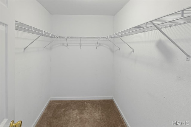 412 Audry Dr, Dupo, IL 62239 - walk in closet with carpet