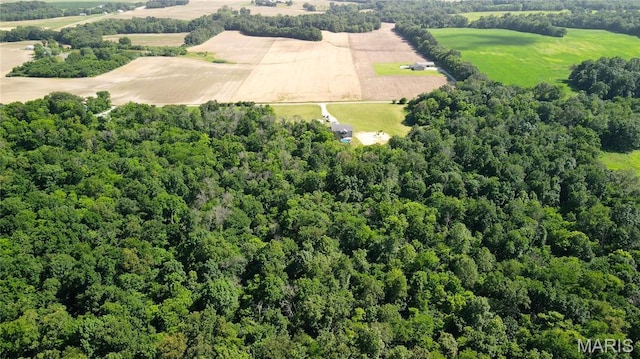 9339 Prairie Ridge Rd, Walsh, IL 62297 - view of property location featuring rural landscape