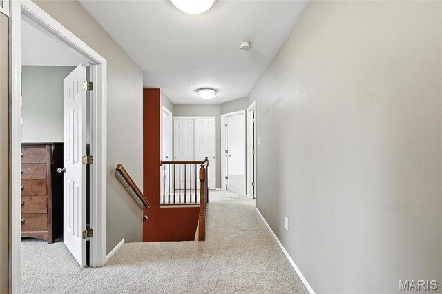 840 Fall Crown Ln, Fenton, MO 63026 - photo 31