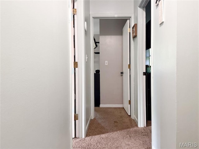914 Ruby Dr, Farmington, MO 63640 - corridor featuring carpet floors and baseboards