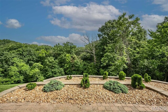 7202 Geneva Manor Ct, Oakville Township, MO 63129 - view of wooded area