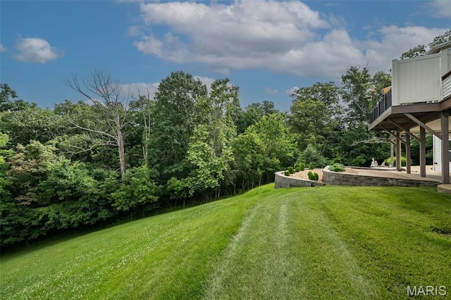 7202 Geneva Manor Ct, Oakville Township, MO 63129 - view of grassy yard featuring a patio
