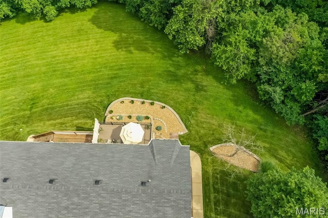 7202 Geneva Manor Ct, Oakville Township, MO 63129 - view from above of property