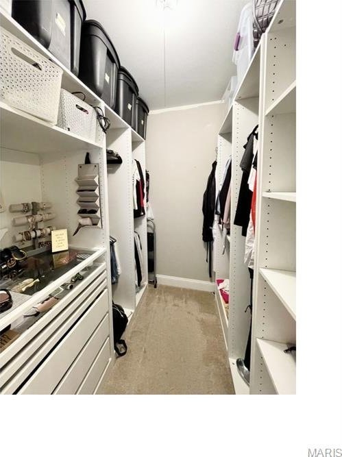 325 Fox Village Ct, Ballwin, MO 63021 - walk in closet with light carpet