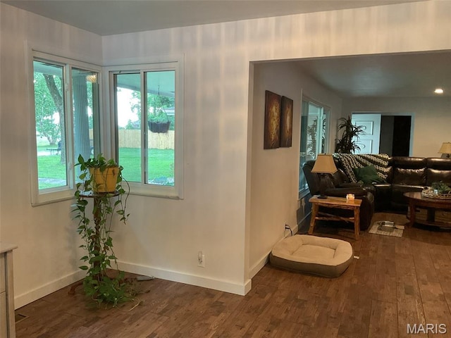4303 State Route 160, Highland, IL 62249 - living area featuring wood finished floors and plenty of natural light