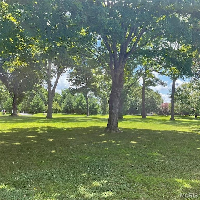 4303 State Route 160, Highland, IL 62249 - view of community featuring a lawn