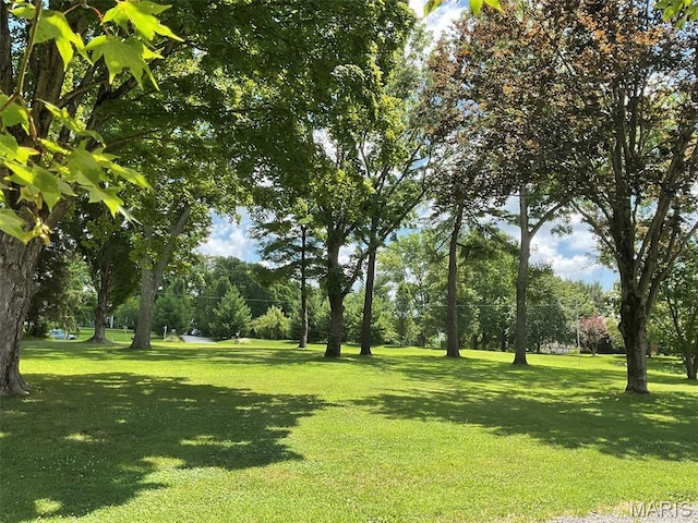 4303 State Route 160, Highland, IL 62249 - view of grassy yard with view of wooded area