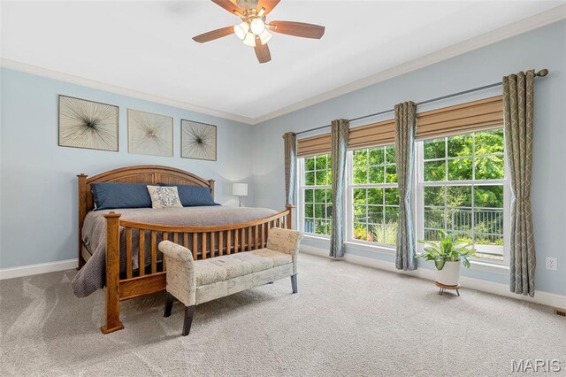 205 Wyndharbor Ct, Wentzville, MO 63385 - photo 22