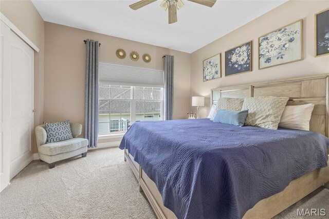 205 Wyndharbor Ct, Wentzville, MO 63385 - photo 27