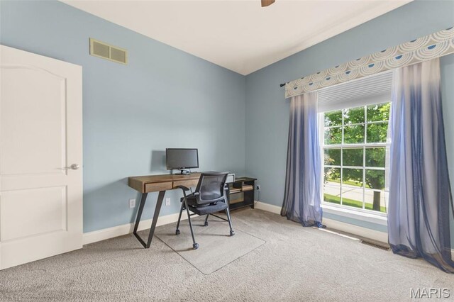 205 Wyndharbor Ct, Wentzville, MO 63385 - photo 30