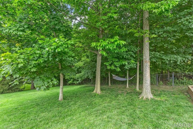 205 Wyndharbor Ct, Wentzville, MO 63385 - photo 44