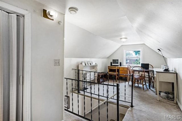4260 Miami St, Saint Louis, MO 63116 - photo 26