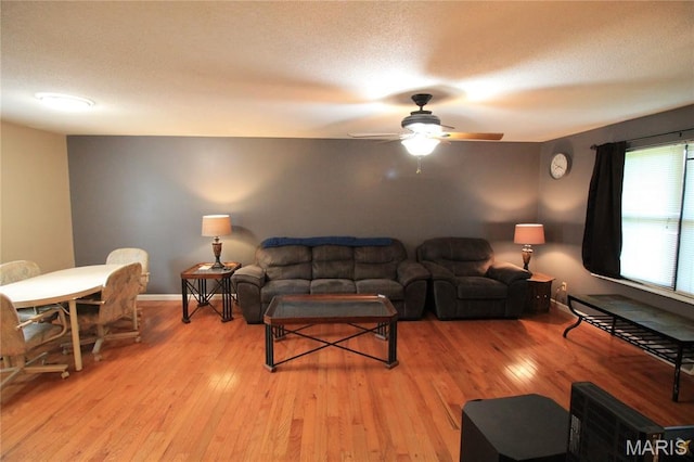 13520 State Road Tt, Festus, MO 63028 - photo 19