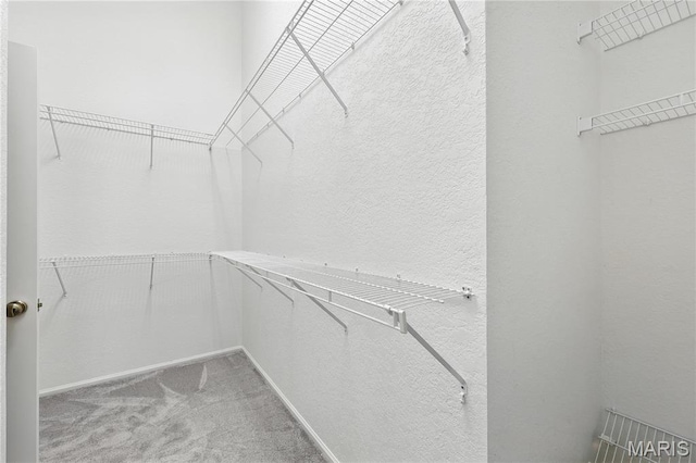 1516 Lienemann Dr Unit 26, Saint Charles, MO 63303 - walk in closet featuring carpet floors