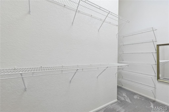 1516 Lienemann Dr Unit 26, Saint Charles, MO 63303 - spacious closet with carpet flooring
