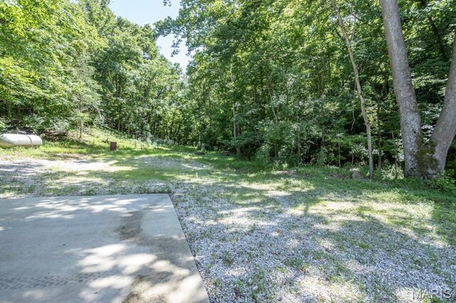 21805 Revere Ln, Waynesville, MO 65583 - photo 42