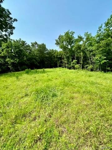 21805 Revere Ln, Waynesville, MO 65583 - photo 47