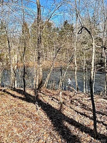 21805 Revere Ln, Waynesville, MO 65583 - photo 57