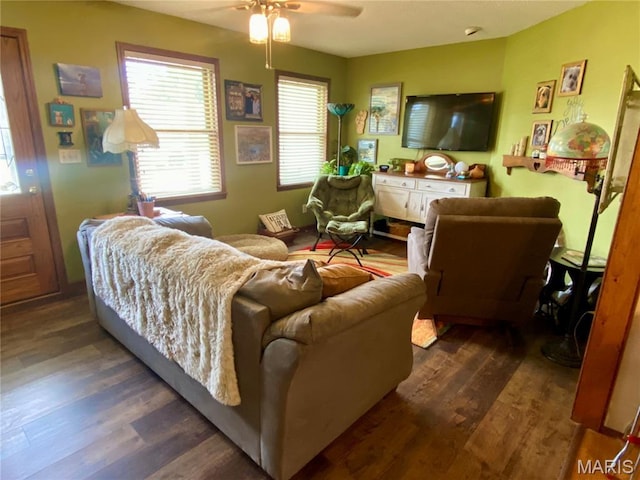 840 Delta Pine Ln, Sikeston, MO 63801 - living area with wood finished floors and ceiling fan