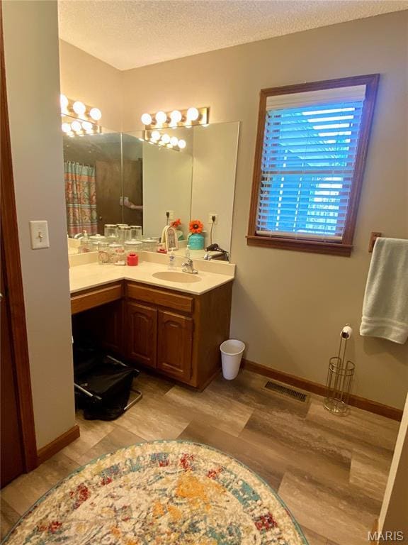 840 Delta Pine Ln, Sikeston, MO 63801 - bathroom with wood finished floors, vanity, a textured ceiling, and a shower with shower curtain