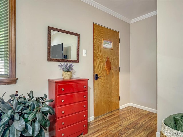 320 N Library St, Waterloo, IL 62298 - photo 3