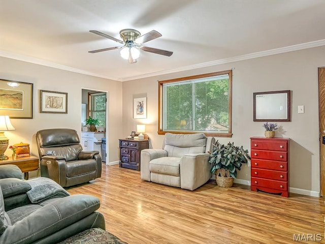 320 N Library St, Waterloo, IL 62298 - photo 5