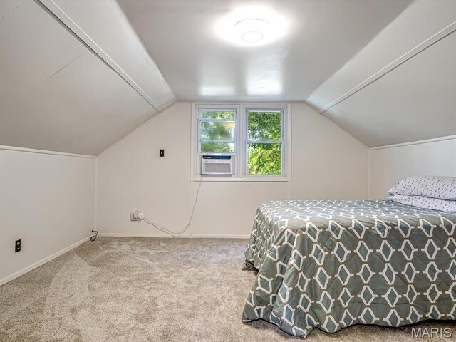 320 N Library St, Waterloo, IL 62298 - photo 18