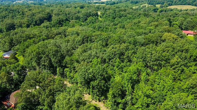 LOTSB-63 Bella Vista Dr, Jackson, MO 63755