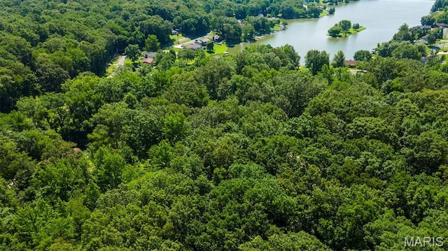 LOTSB-63 Bella Vista Dr, Jackson, MO 63755
