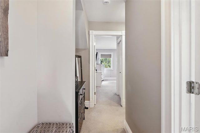 2812 Indiana Ave, Saint Louis, MO 63118 - hall with light colored carpet and baseboards