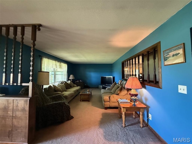 299 E 3050th Ave, Ramsey, IL 62080 - living area featuring carpet flooring