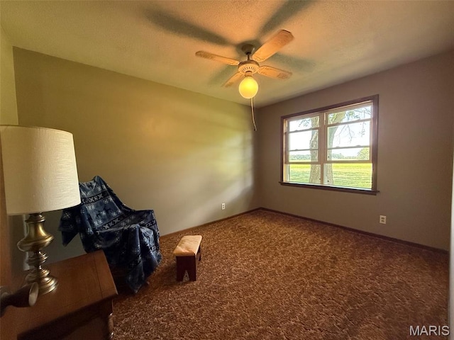 299 E 3050th Ave, Ramsey, IL 62080 - spare room featuring a ceiling fan, carpet, and a textured ceiling