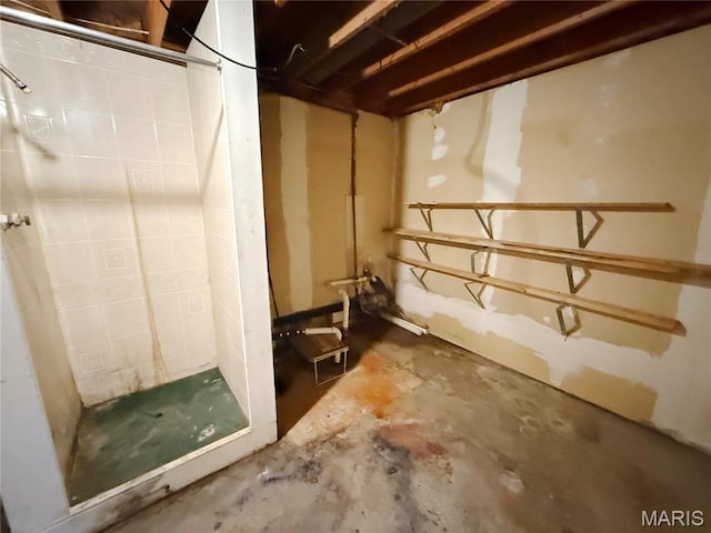 335 Sumac St, Payson, IL 62360 - view of unfinished basement