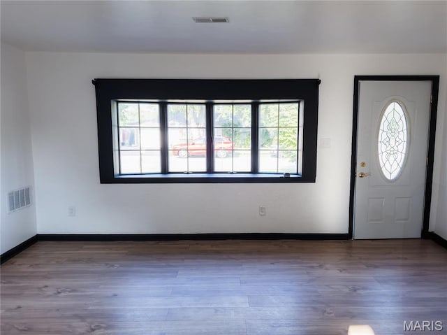 119 Freedom Dr, Belleville, IL 62226 - foyer entrance featuring wood finished floors