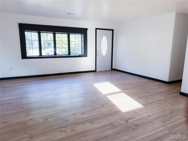 119 Freedom Dr, Belleville, IL 62226 - foyer with wood finished floors