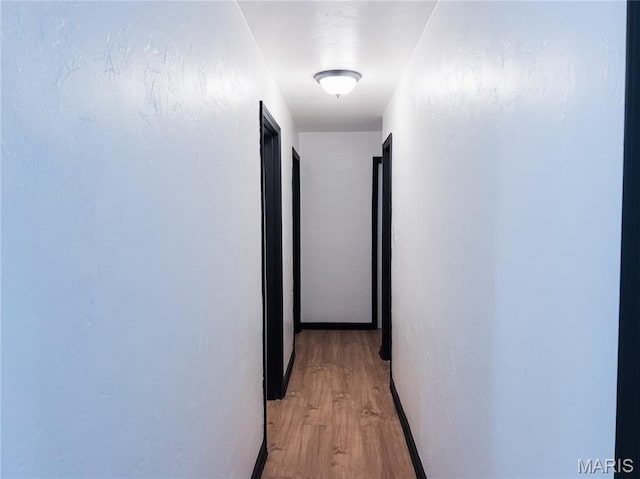 119 Freedom Dr, Belleville, IL 62226 - corridor featuring light wood-type flooring and baseboards