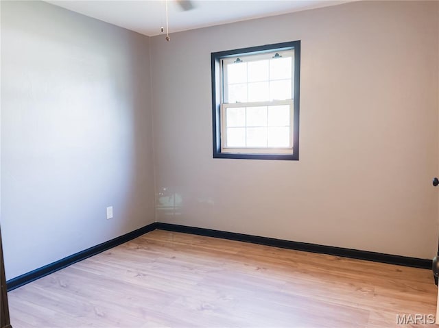 119 Freedom Dr, Belleville, IL 62226 - empty room featuring light wood-style flooring and baseboards