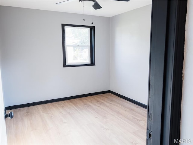 119 Freedom Dr, Belleville, IL 62226 - empty room with ceiling fan and light wood-style floors
