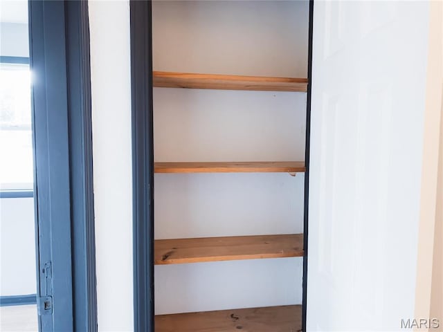 119 Freedom Dr, Belleville, IL 62226 - view of closet