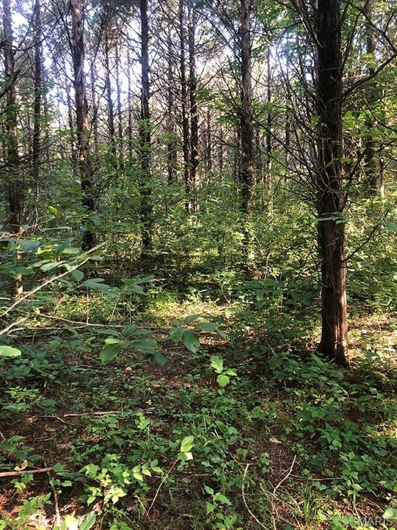 0 Rock Rd, Bourbon, MO 65441